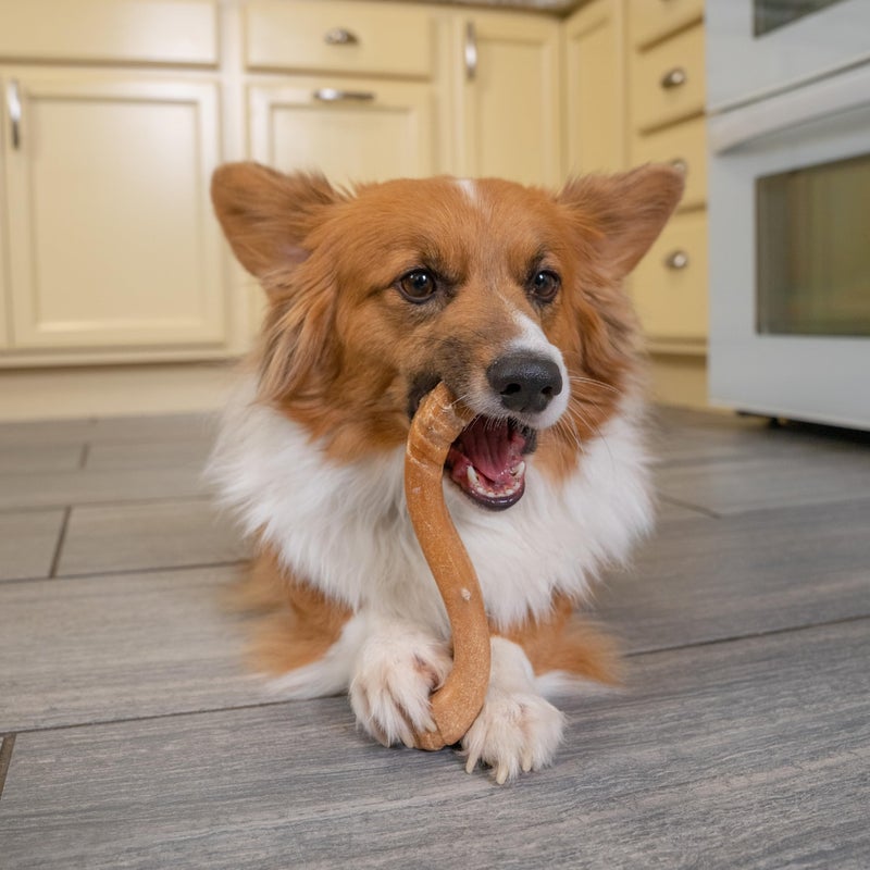 Petstages Dogwood Flip and Chew Bone, Medium - Image 2